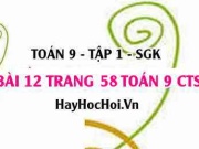 Bài 12 trang 58 Toán 9 tập 1 Chân trời sáng tạo